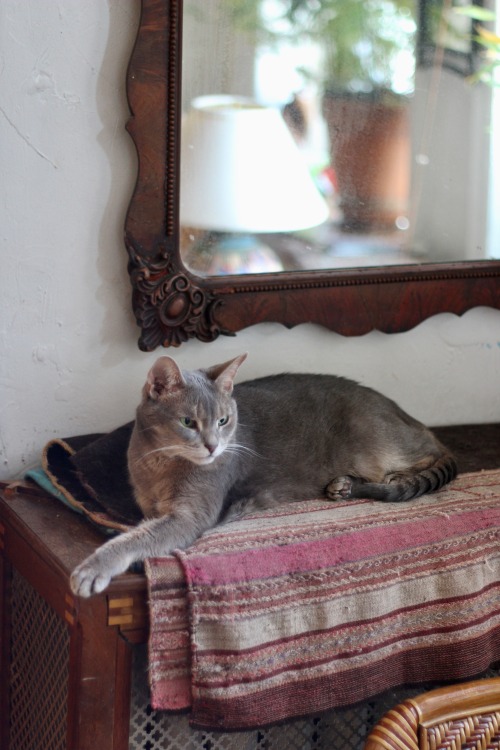 photos from a happier time earlier this year when I was staying at a friend’s apartment in Greenwich