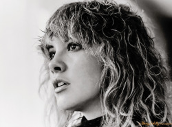 stevie-nicks-daily:Photographer Barry Schultz