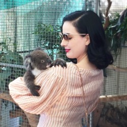 ditavonteese:  Met this baby koala at a #faunarescuesa