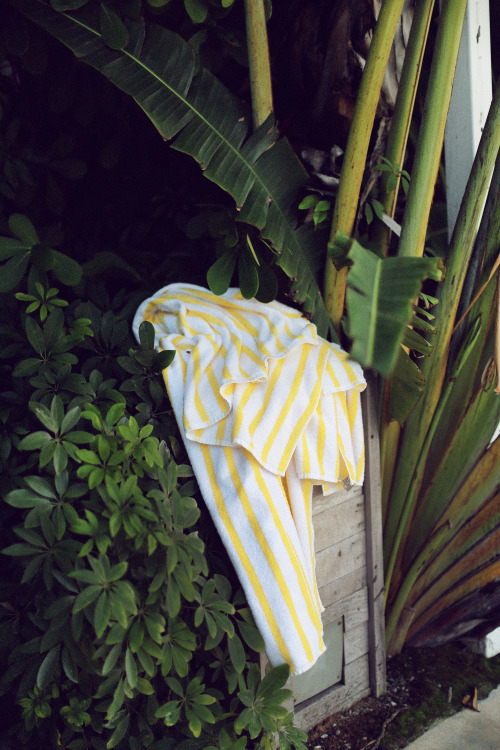 http://castawaylabel.tumblr.com/post/112944673828