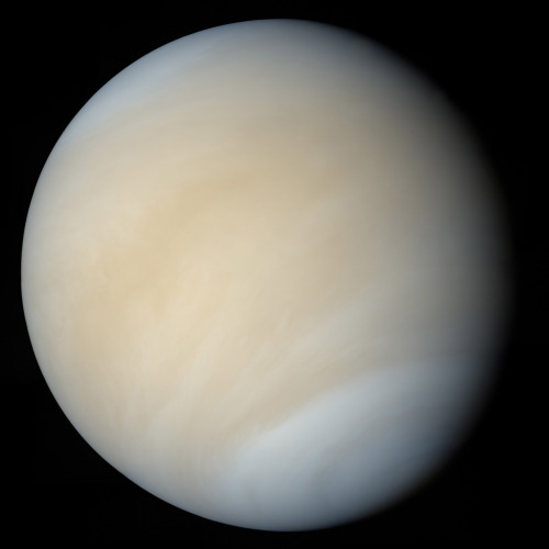 Global view of Venus from Mariner 10Image credits Mattias Malmer/NASA/JPL
