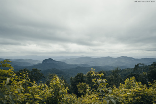 Looking Glass Rock OverlookBlue Ridge ParkwayWaynesville, NC 