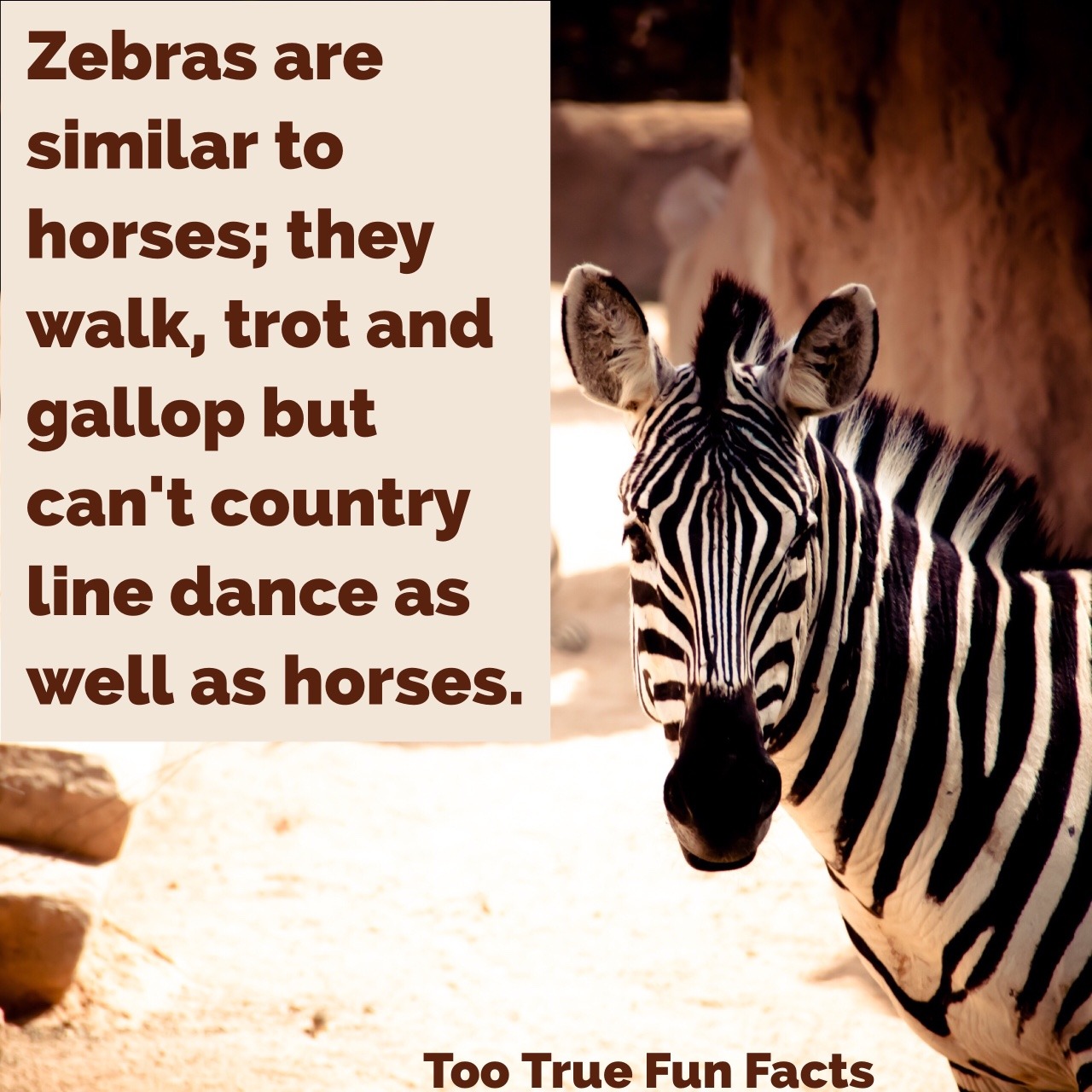 Too True Fun Facts — Animal Fun Fact #1 for July 12.