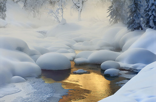 candycoloratura: odditiesoflife: White Winter Wonderland Winter can be as beautiful as it is frigid 