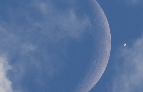 dynaaamic:  The Moon and Venus Captured in a Single Photograph.