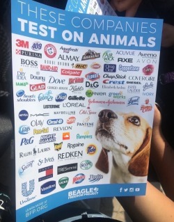 weavemama: ???????????????  Also this&hellip; like duh purina tests on animals 😂