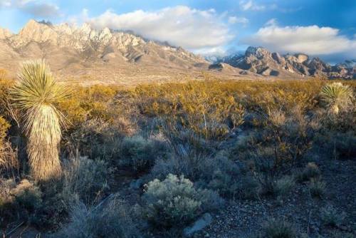 Organ Mountains National MonumentThese beautiful peaks now form the backbone of what was declared to