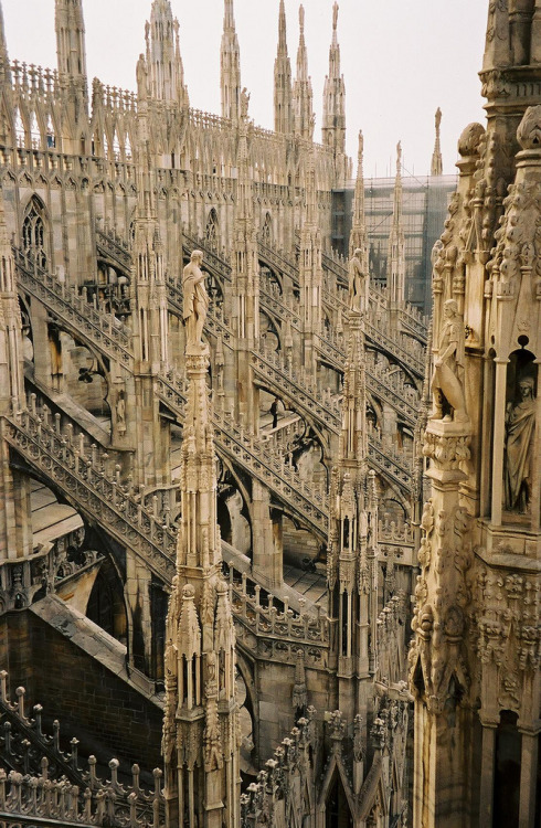 petermorwood: justderek: Milan Cathedral &ldquo;I want twiddly bits and pointy bits,&rdquo; 