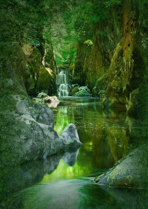 missfairyblossom: The Fairy Glen, Conwy River ~ Betws-y-Coed, North Wales Found on duskyswondersite.