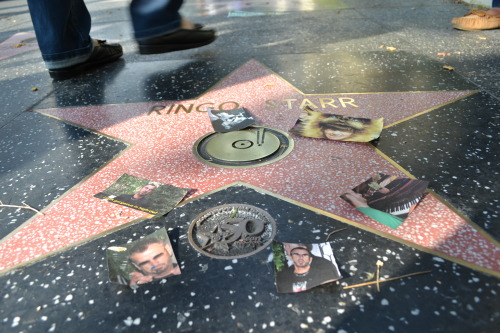 too-stoned-to-remember:  tehbeatles:decorated each beatle’s walk of fame star with some of my favorite photos from them today  …o,OMG is that my “i look gorgeous in hi def” gif omg