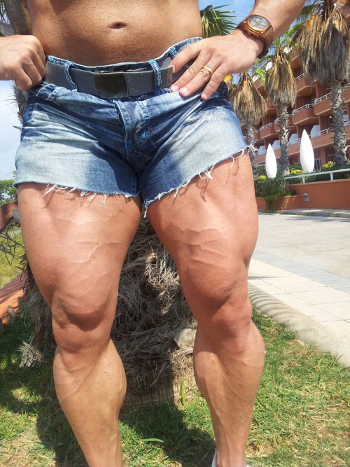 STEFMUSCLE