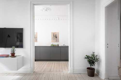 Minimalistic Swedish Apartment | Goteborg, SwedenLayout:(Source: alvhem.com)