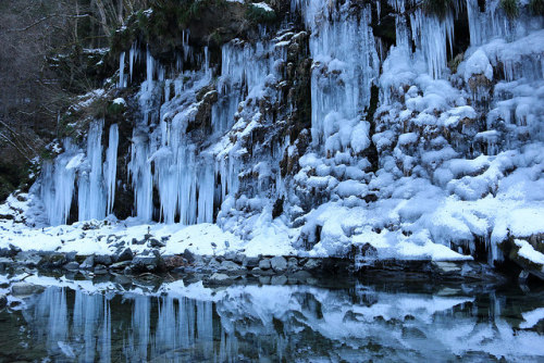 Icicle Misotsuchi by fjt0318 on Flickr.