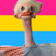 xsoupscoopx