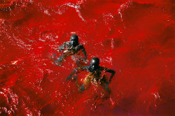 b3ngal:  Two boys swimming in the pink lake Retba, Senegal, Africa