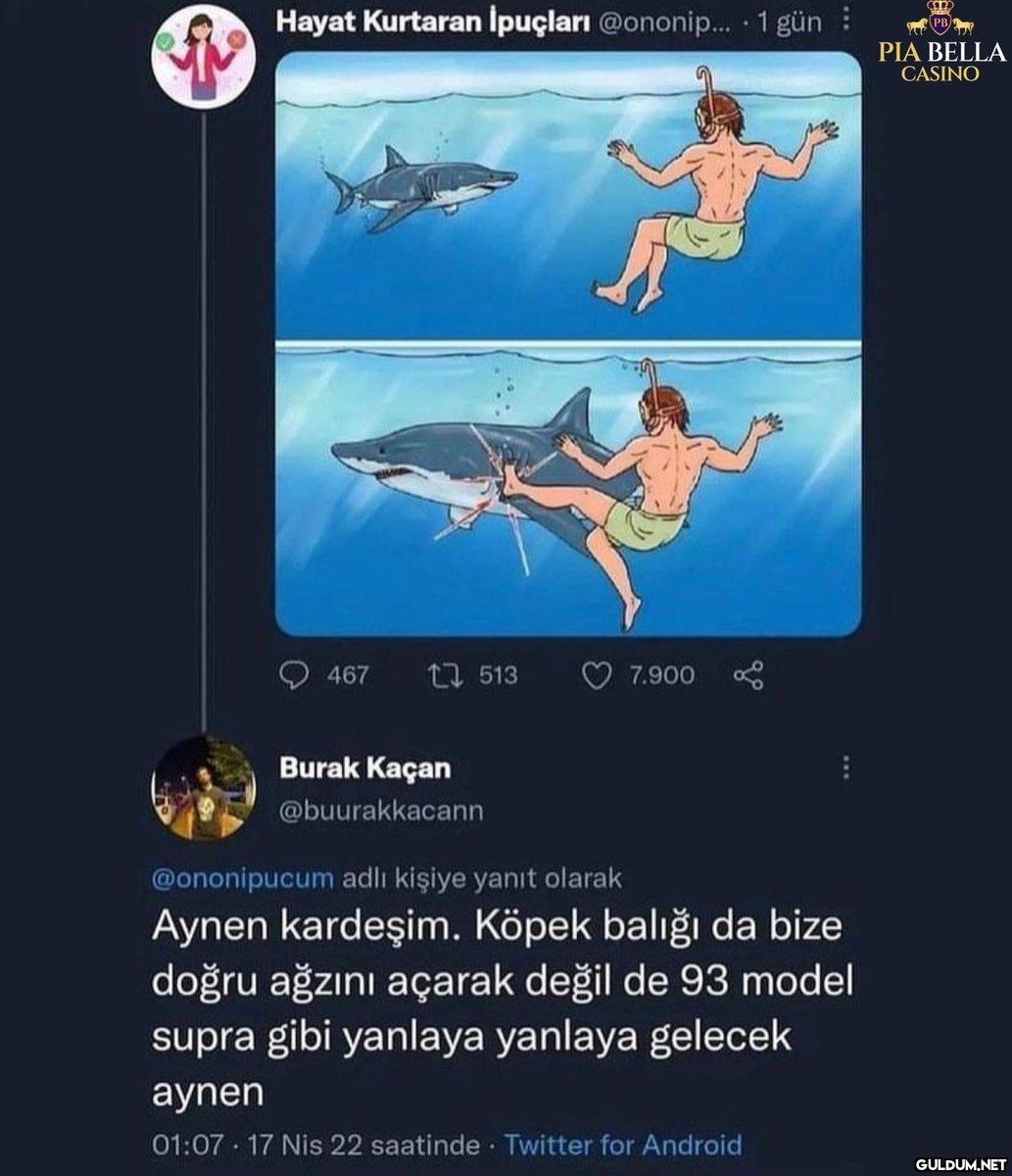 Hayat Kurtaran İpuçları...