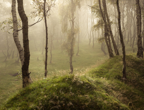 cair–paravel:Bolehill, Derbyshire by vuzephotography.