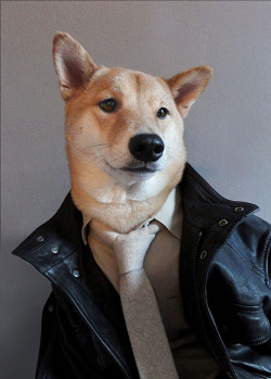 mensweardog:  Your Next Big Purchase: The Field Jacket Leather Field Jacket: Coach  |  Linen Shirt: Uniqlo  |  Tie: Dibi not shown:  White Selvage Denim: Todd Snyder  |  Suede Chukka: Crockett &amp; Jones  |  Duffel Bag: APC 