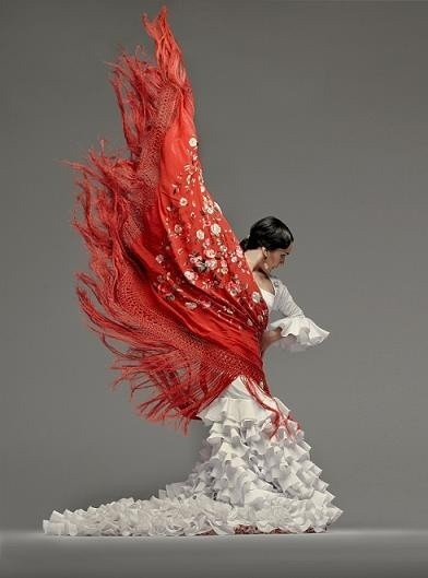 Ablaze with passion (Spanish Flamenco dancer)