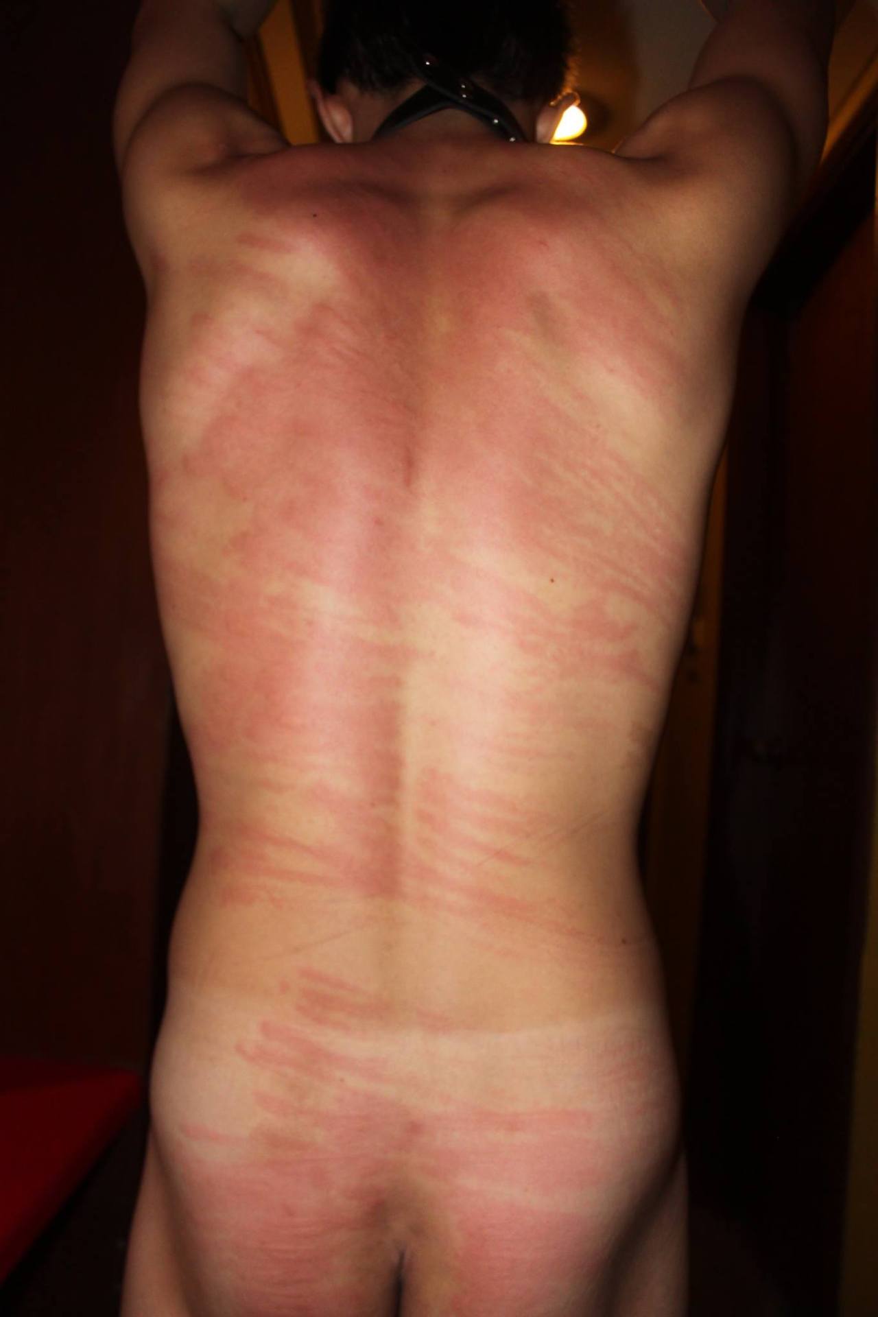 dom4gam:  Thai pain slave from Phuket