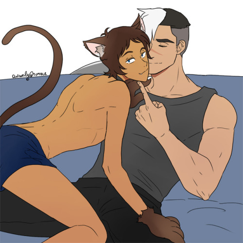 Colored request since it came from Ko-Fi  ♥ Looks like Shiro is enjoying some purring here ;D