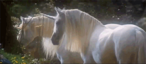 megarah-moon:  “Precious light is protected, harbored in the souls of unicorns,