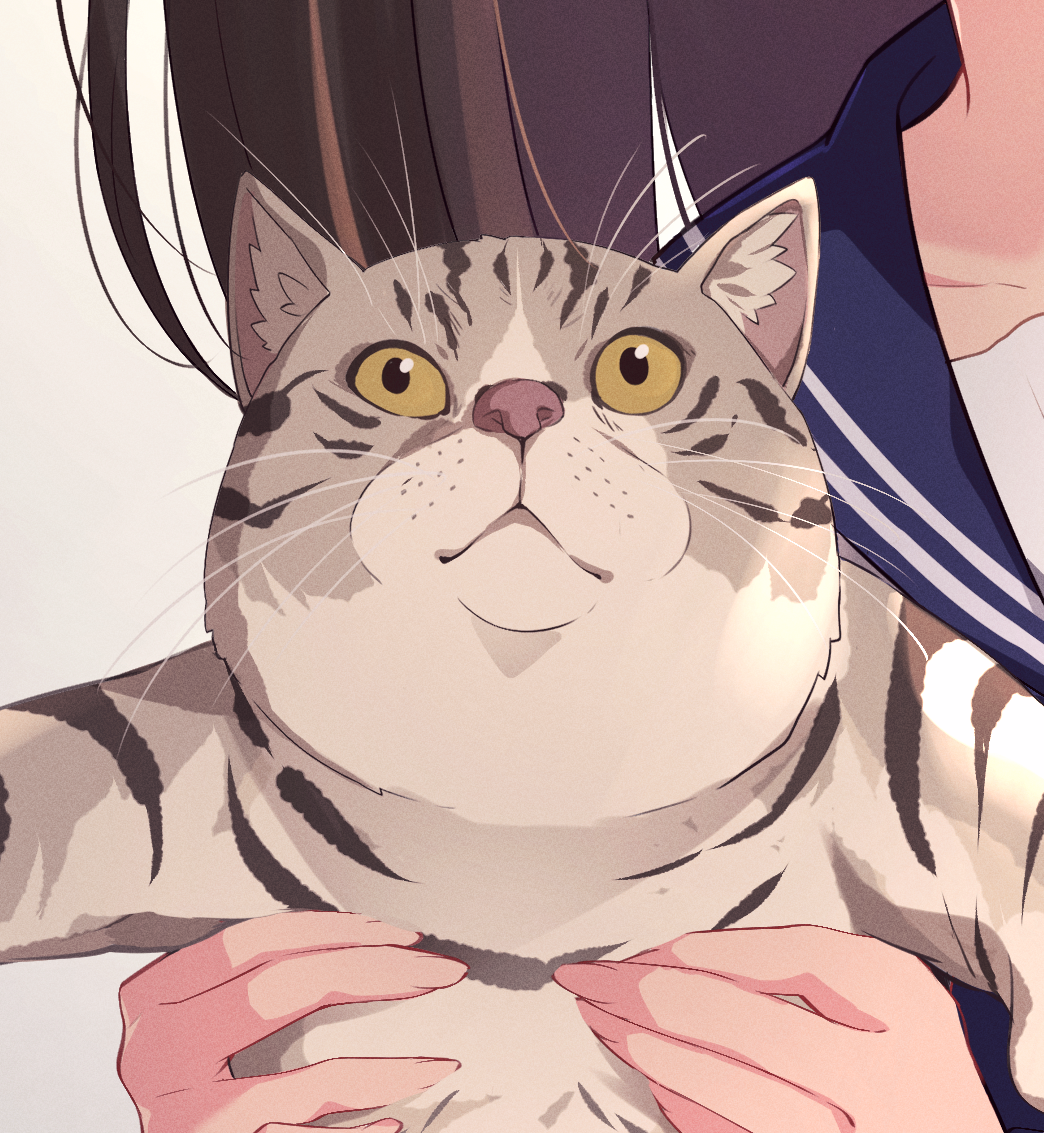 Tumblr Tumblr