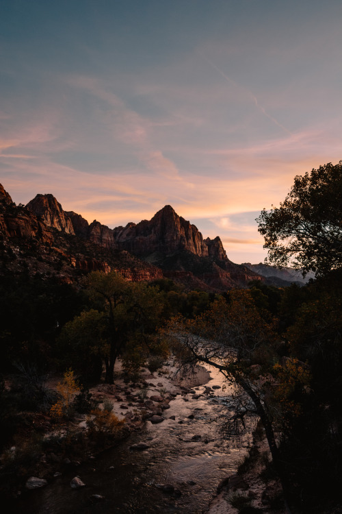 jasonincalifornia:The Watchman - Zion National Park.  I legit don’t remember there being a deer in t