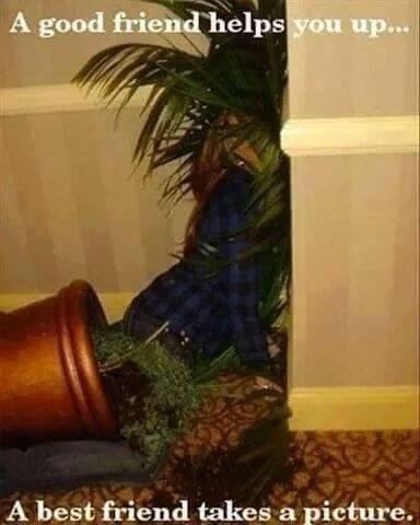 queenofkink:  secretdesire13:  I know you two bitches would do this to me 😂😂😂😂😂