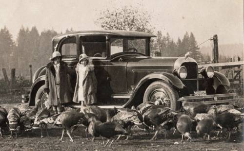 the1920sinpictures: 1920′s Free range turkeys and little girls. From The Jazz Age Vehicle Archive, F