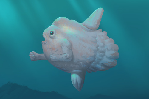 I set a goal to do at least one piece for mermay, and today I met that goal. Enjoy this sunfish.