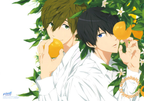 artbooksnat: Free! -Timeless Medley-Makoto and Haruka are fresh and citrusy in this poster extra fro