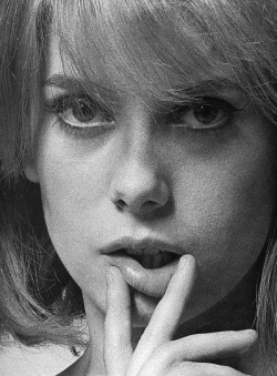 honey–rider: Catherine Deneuve