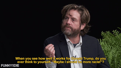 sandandglass:Hillary Clinton on Between Two Ferns with Zach Galifianakis