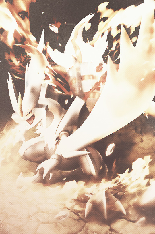 kyogrie:  		ＷＨＩＴＥ ＫＹＵＲＥＭ！ ＴＵＲＢＯＢＬＡＺＥ！