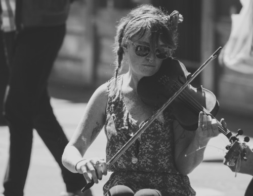 danielgreyphotography: Violinists of New Orleans.