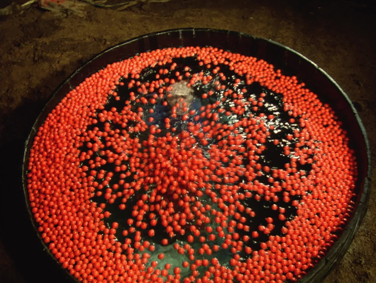 ozu-teapot:  Kagerô-za | Seijun Suzuki | 1981 Michiyo Ohkusu 