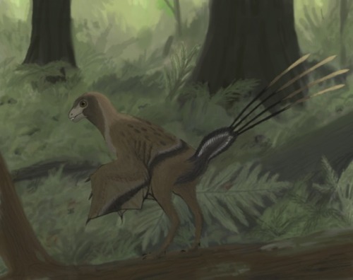 Epidexipteryx hui 