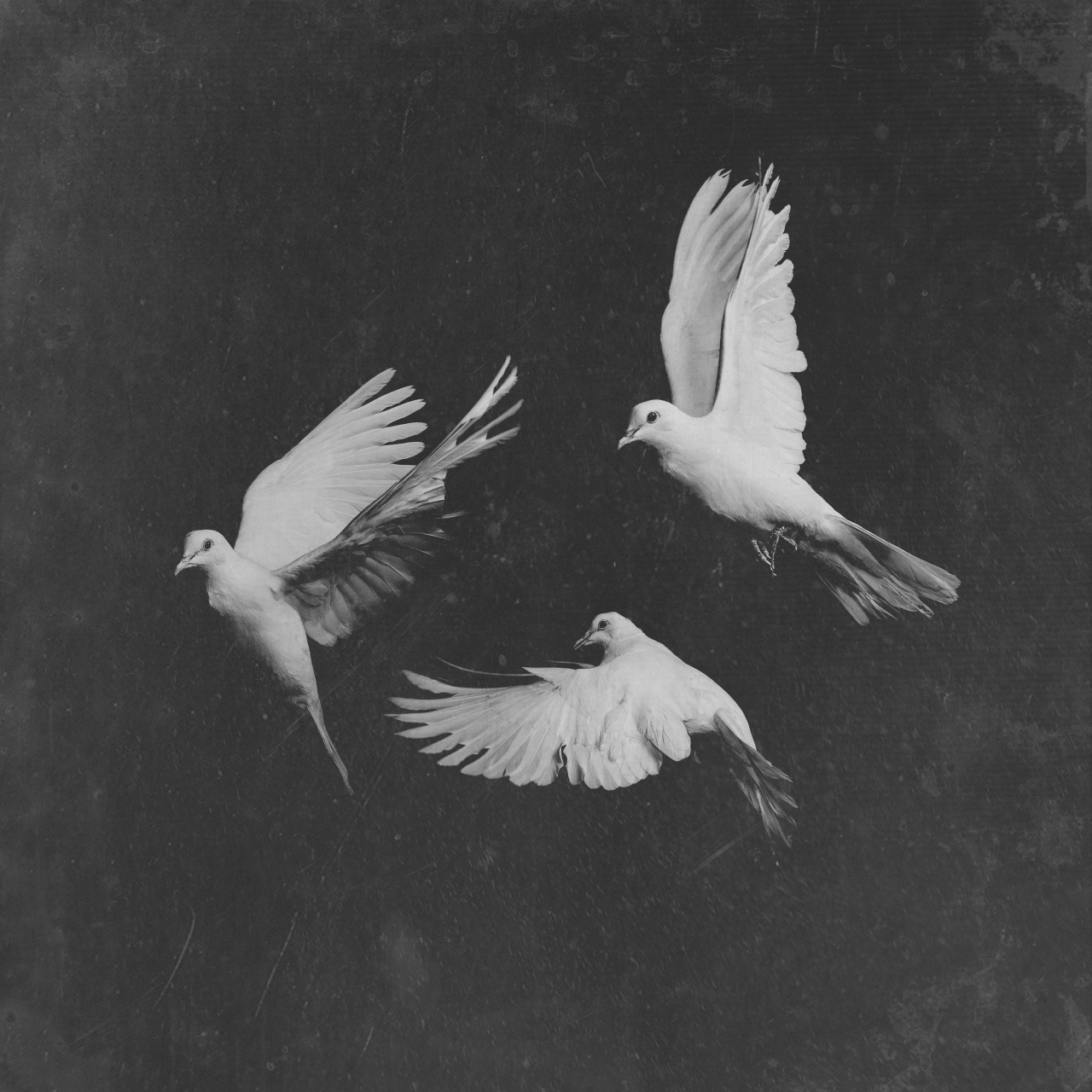 kingpusha:  “I drops every blue moon, to separate myself from you kings of the