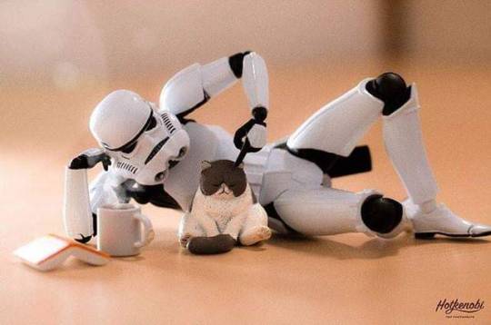 not-the-droids-youre-looking-for:  ❤❤❤