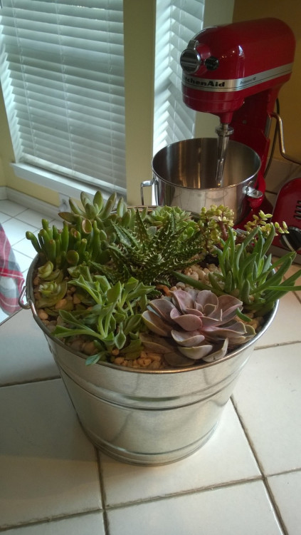 sundaygardener: Gift I made for my family I always get weird deja vu from this - sundaygardener is s