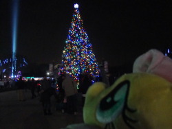 slice-of-life-twilight:Fluttershy: Um…hello, everypony…um, Twilight thought I should learn how to use her blog to answer your questions, so, um, I decided to write about a trip we just took to the zoo. Since Hearth’s Warming Eve–oh, or um, Christmas–is