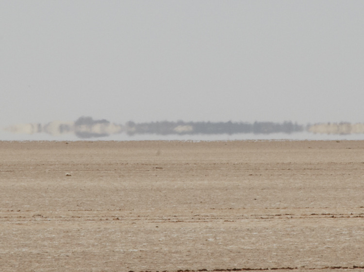 likeafieldmouse:  Brendan Austin - Mirage (2012)