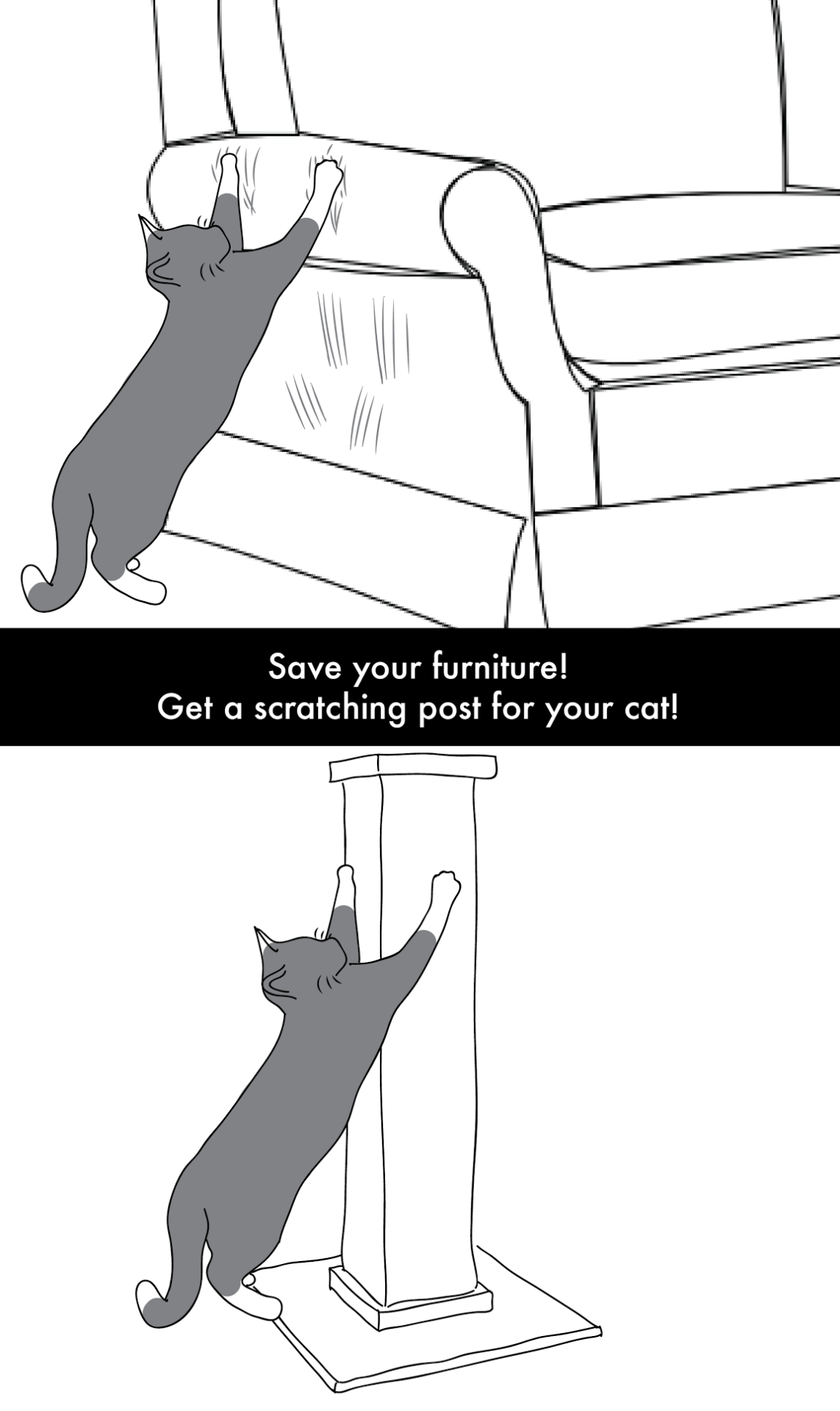 Why toys for pets exist