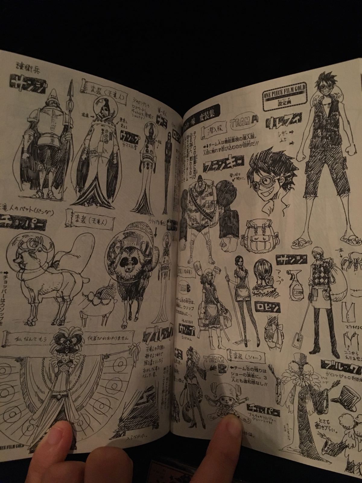 One Piece Film - Gold Backstage Pass Art Book