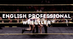 nikkisreign:  get to know more about my favorite wrestlers (1/?) - paige