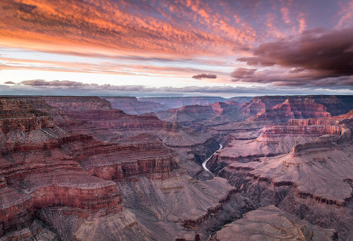 phantastrophe: Grand Canyon, Arizona | Photographer: Tim Williams