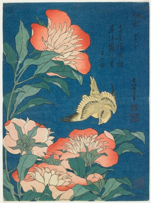 mia-japanese-korean: Peonies and Canary, Katsushika Hokusai, c. 1834, Minneapolis Institute of Art: 