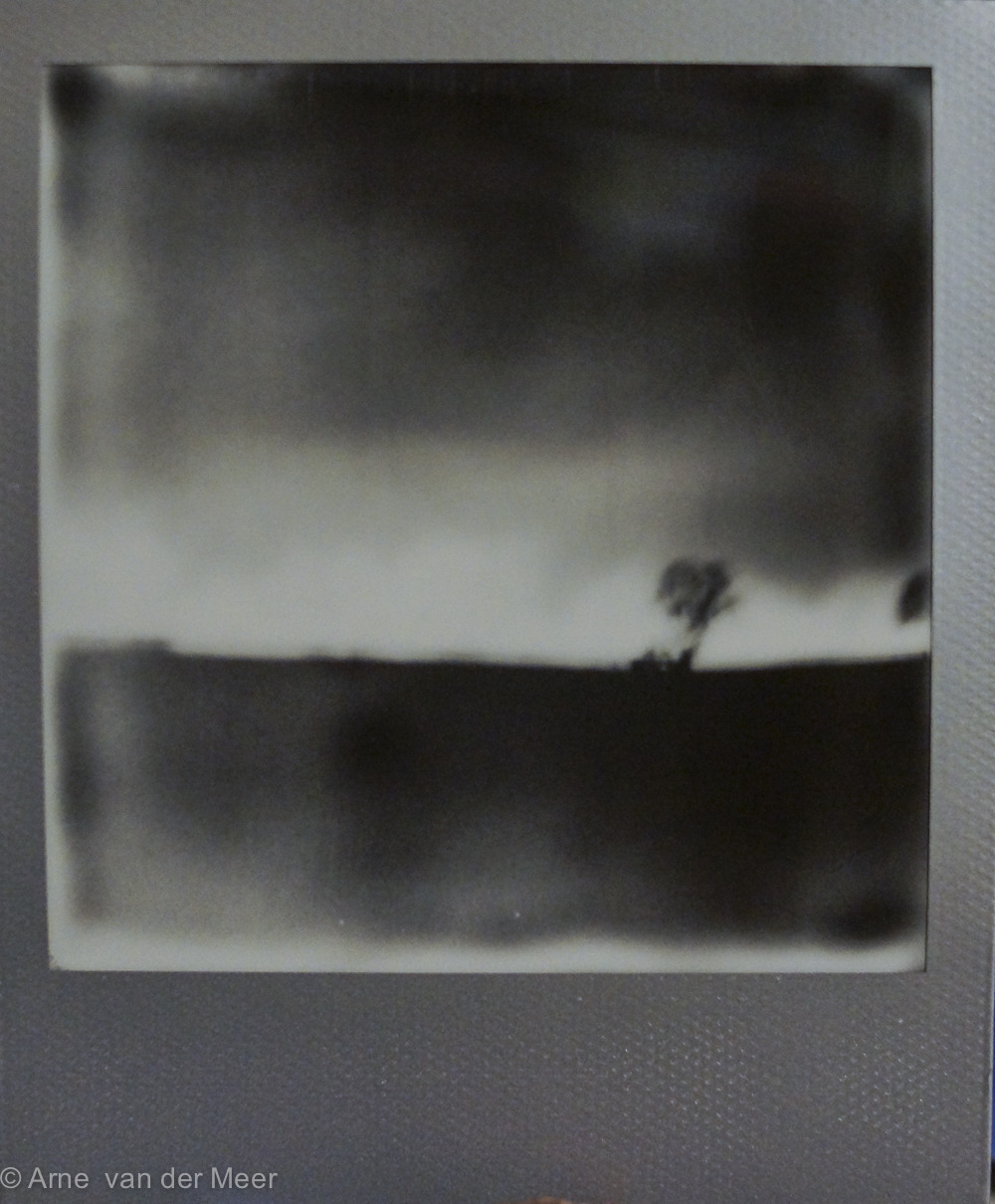 afternoon walk.
Camera: Polaroid SX-70, Film: Impossible Project B&W 600 Instant Film, Silver Frame.