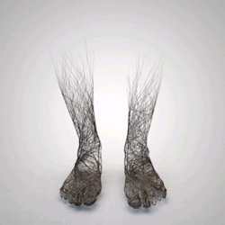 digitalloop:  Roots by Grégoire A. Meyer